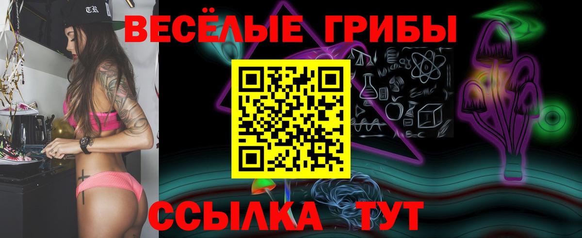Псилоцибиновые грибы ЛСД Выборг
